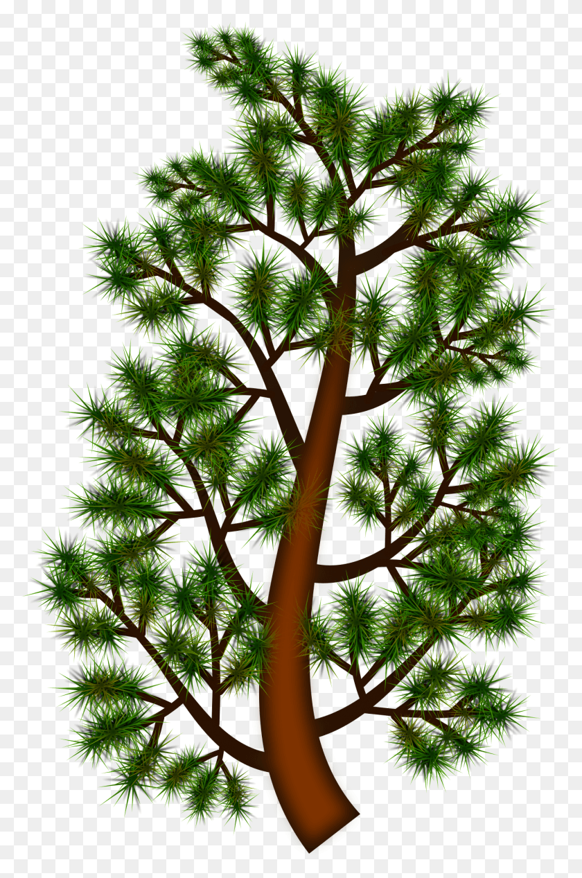 1356x2099 This Free Icons Design Of Pine Tree Branch, Plant, Potted Plant, Vase HD PNG Download