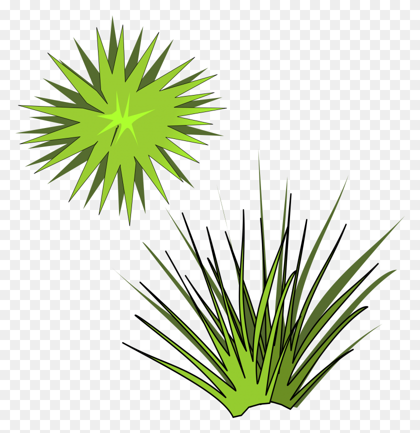 2232x2307 This Free Icons Design Of Plant 05 Spiky Plant Clipart, Naturaleza, Aire Libre, Noche Hd Png Descargar