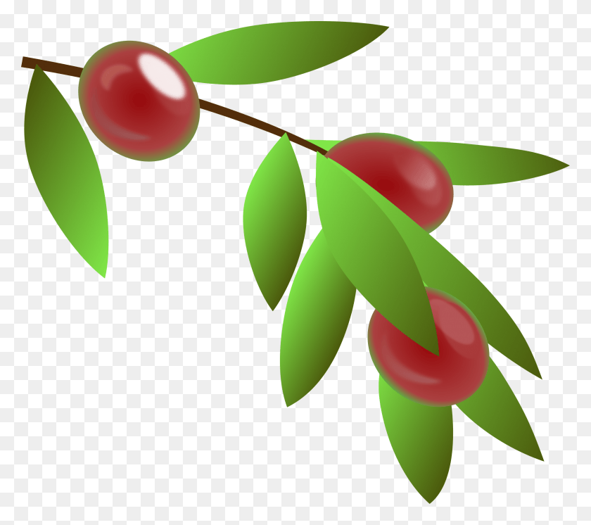 2400x2113 Этот Бесплатный Дизайн Иконок Planta De Cafe Colombiano, Растение, Лист, Зеленый Hd Png Скачать