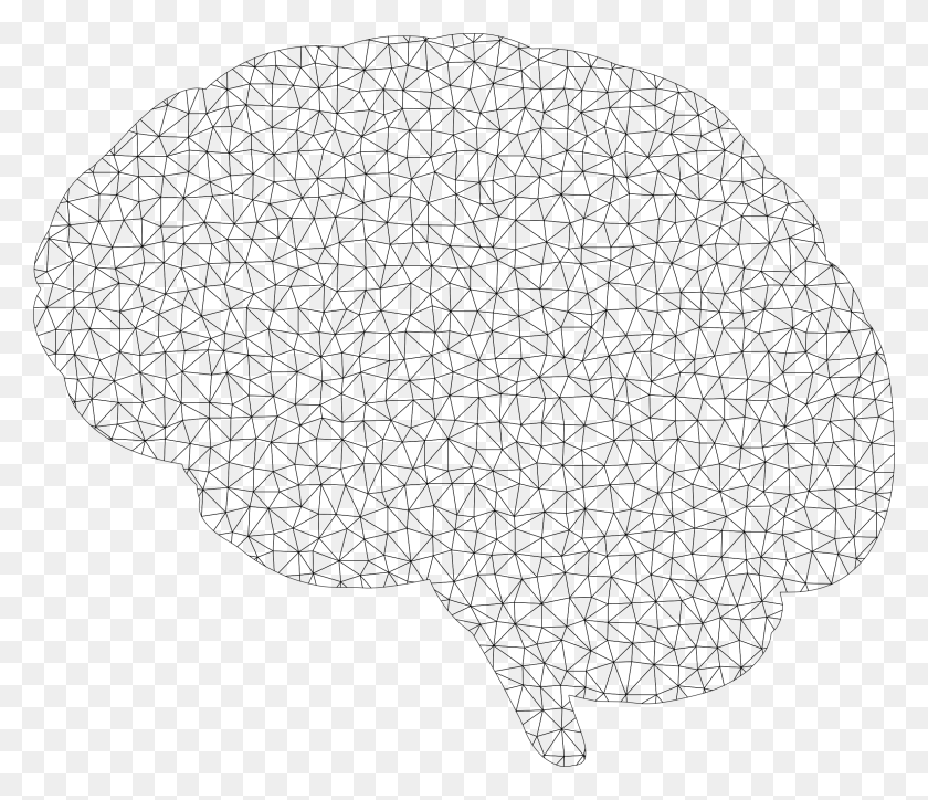 2316x1974 This Free Icons Design Of Polygonal Wireframe Brain, Gray, World Of Warcraft HD PNG Download