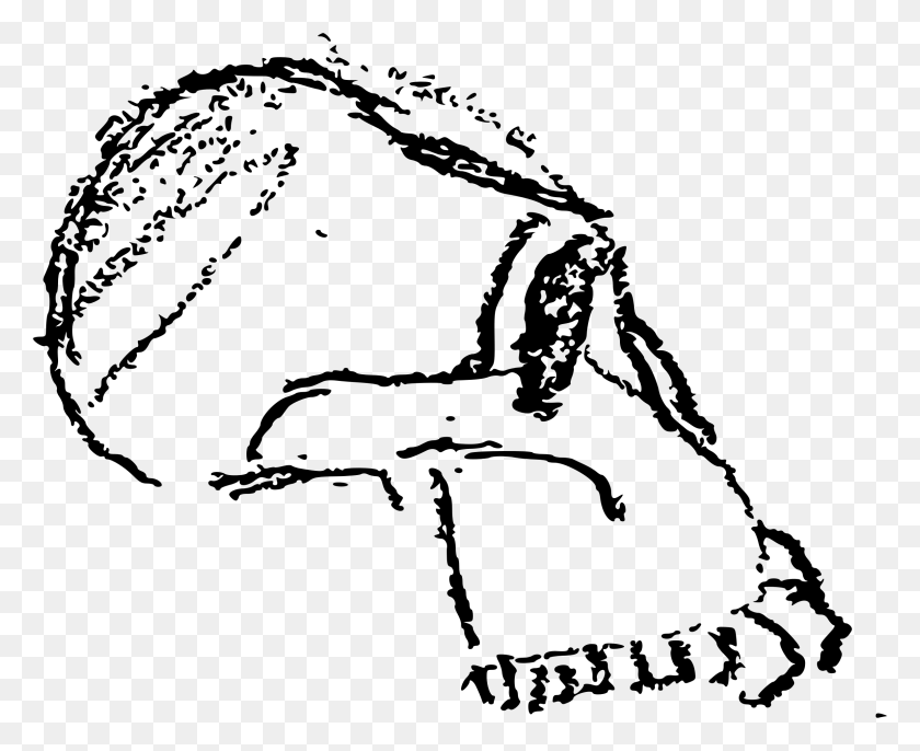 2372x1906 Этот Бесплатный Дизайн Иконок Доисторического Рисунка Черепа, Серый, Мир Варкрафта Png Скачать