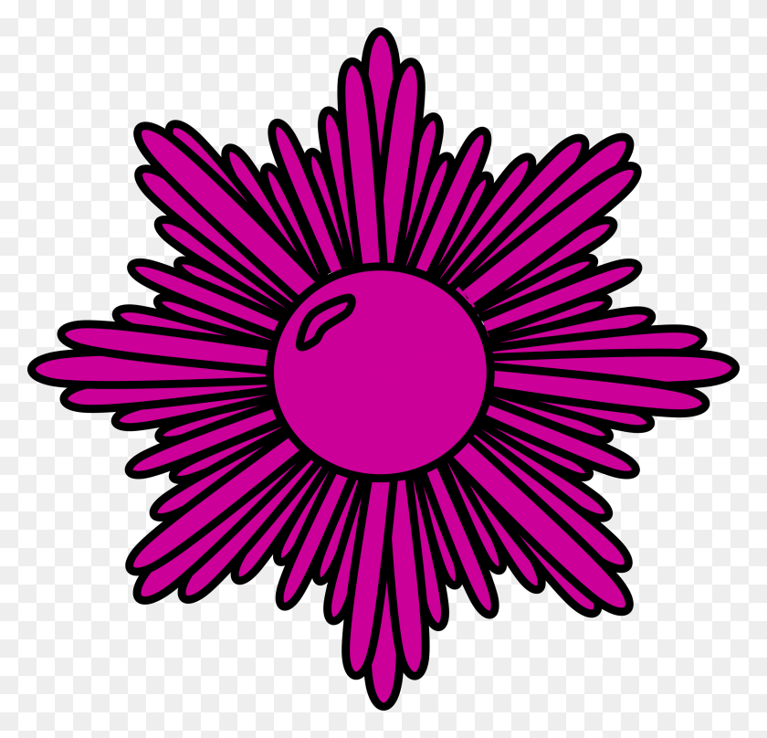 2400x2302 This Free Icons Design Of Purple Starburst, Aster, Flower, Plant HD PNG Download