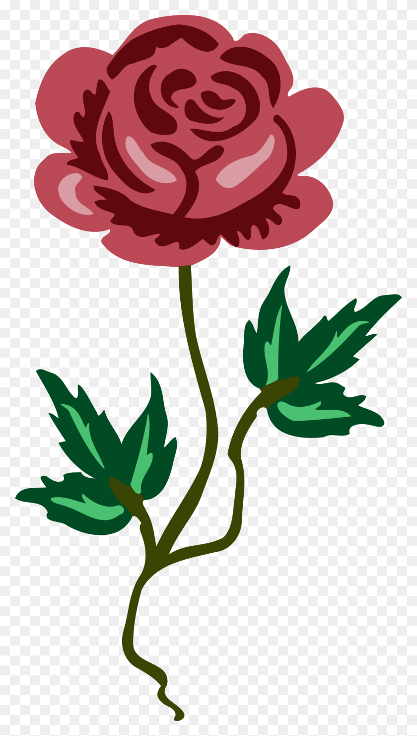 1316x2400 This Free Icons Design Of Rose 17 Daun Dan Bunga, Plant, Flower, Blossom HD PNG Download