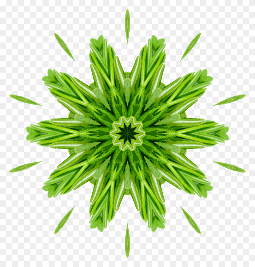 2283x2400 Этот Бесплатный Дизайн Иконок Калейдоскоп Розмарина, Растение, Горшечное Растение, Ваза Png Скачать