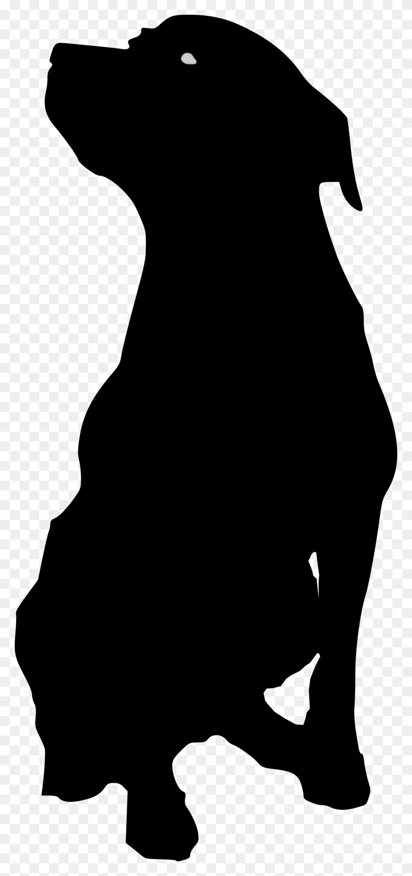 1084x2400 This Free Icons Design Of Rottweiler Outline 2 Dog Vector, Gray, World Of Warcraft HD PNG Download