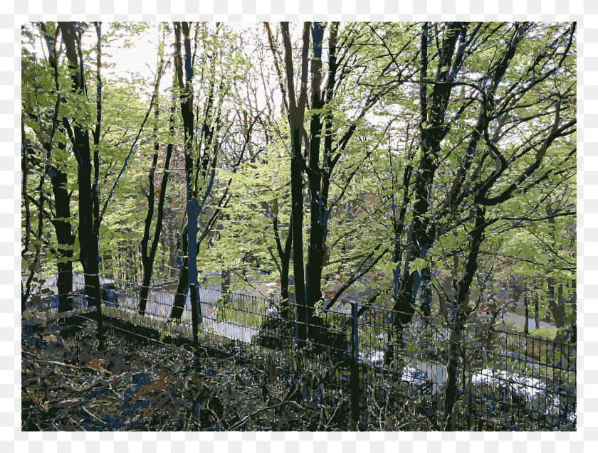 2400x1778 Этот Бесплатный Дизайн Иконок Скульптурного Парка Waldfrieden, Дерево, Растение, Растительность Png Скачать