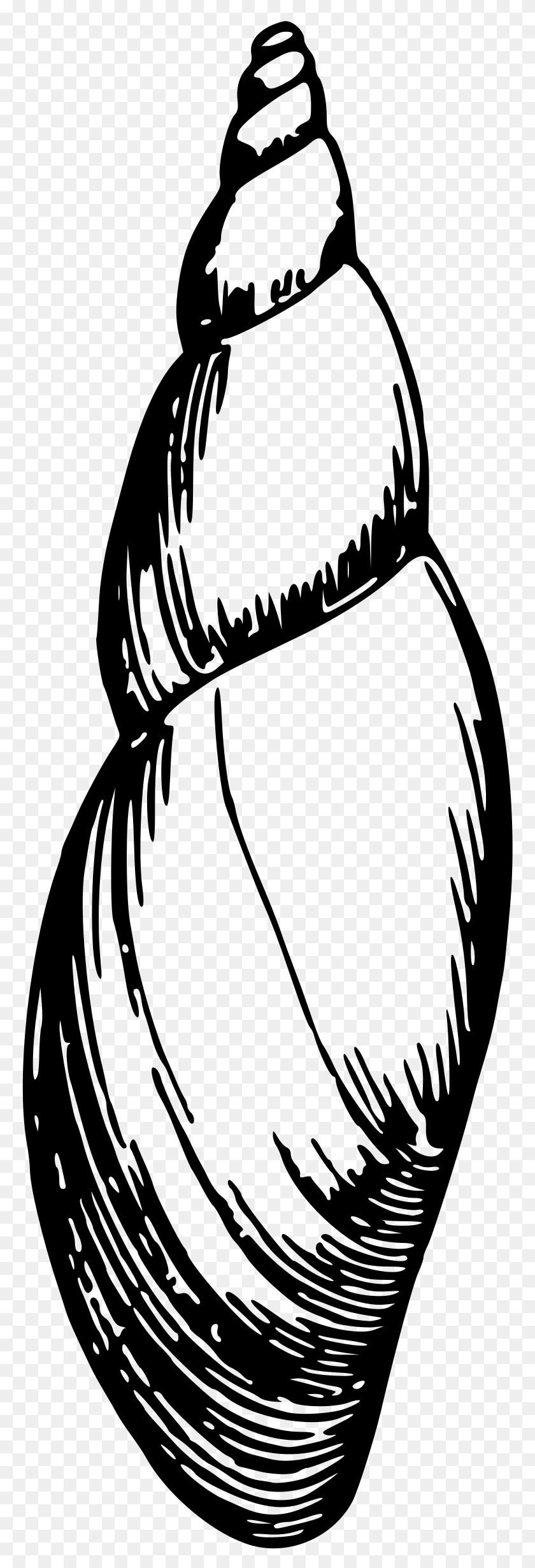 773x2400 Этот Бесплатный Дизайн Иконок Морской Ракушки, Серый, Мир Варкрафта Png Скачать