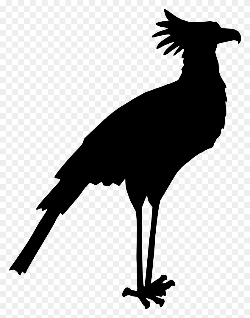 1851x2400 This Free Icons Design Of Secretary Bird, Gray, World Of Warcraft HD PNG Download