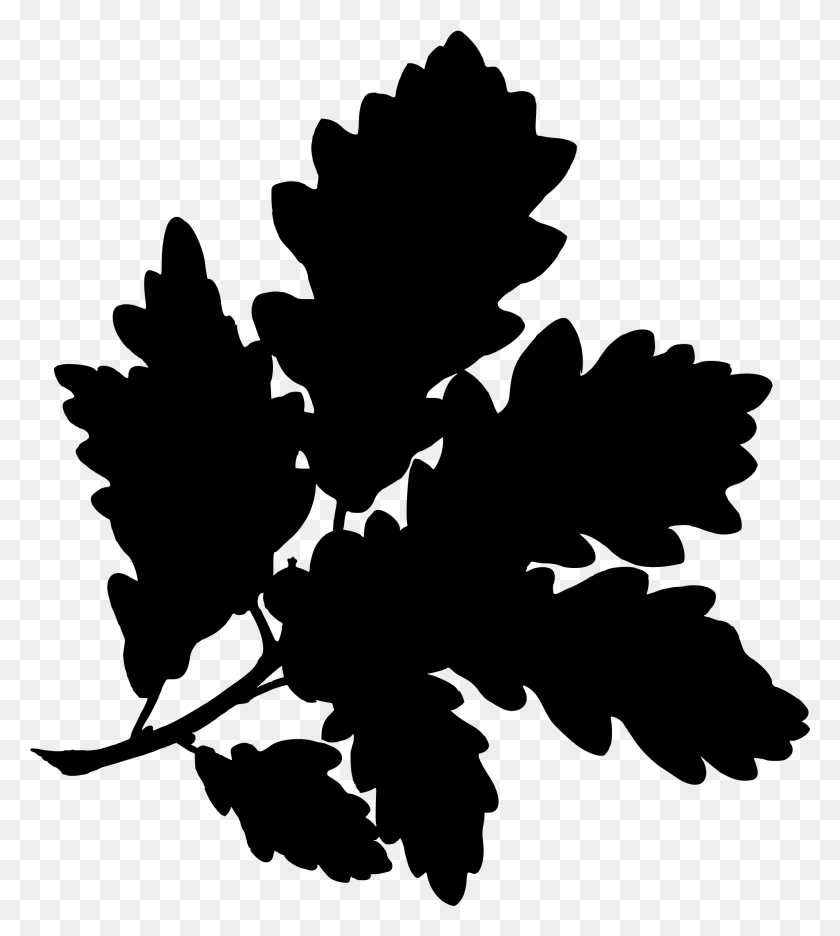 2135x2400 This Free Icons Design Of Sessile Oak, Grey, World Of Warcraft Hd Png