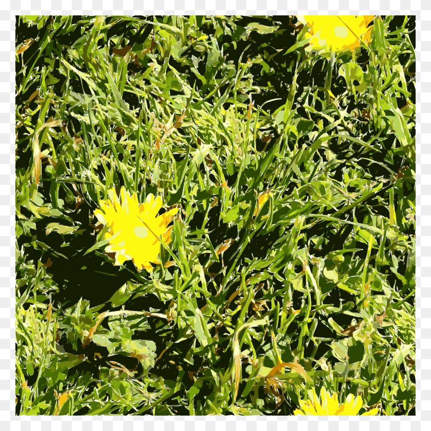 2400x2400 This Free Icons Design Of Sf Grass Dandelion, Potted Plant, Plant, Vase HD PNG Download