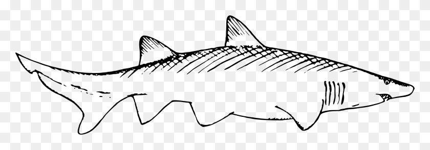 2400x722 This Free Icons Design Of Shark 2 Shark And Remora Drawing, Grey, World Of Warcraft Hd Png