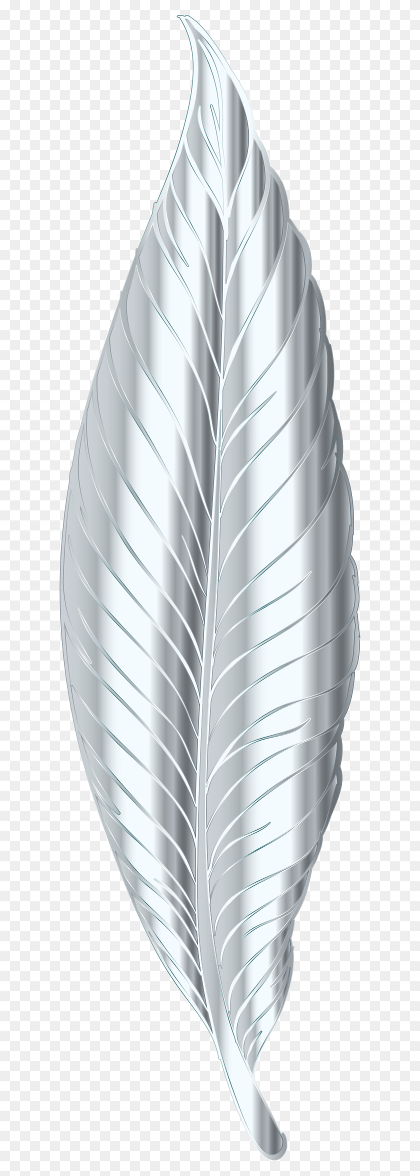 602x2290 This Free Icons Design Of Silver Feather, Plant, Home Decor, Aluminium HD PNG Download
