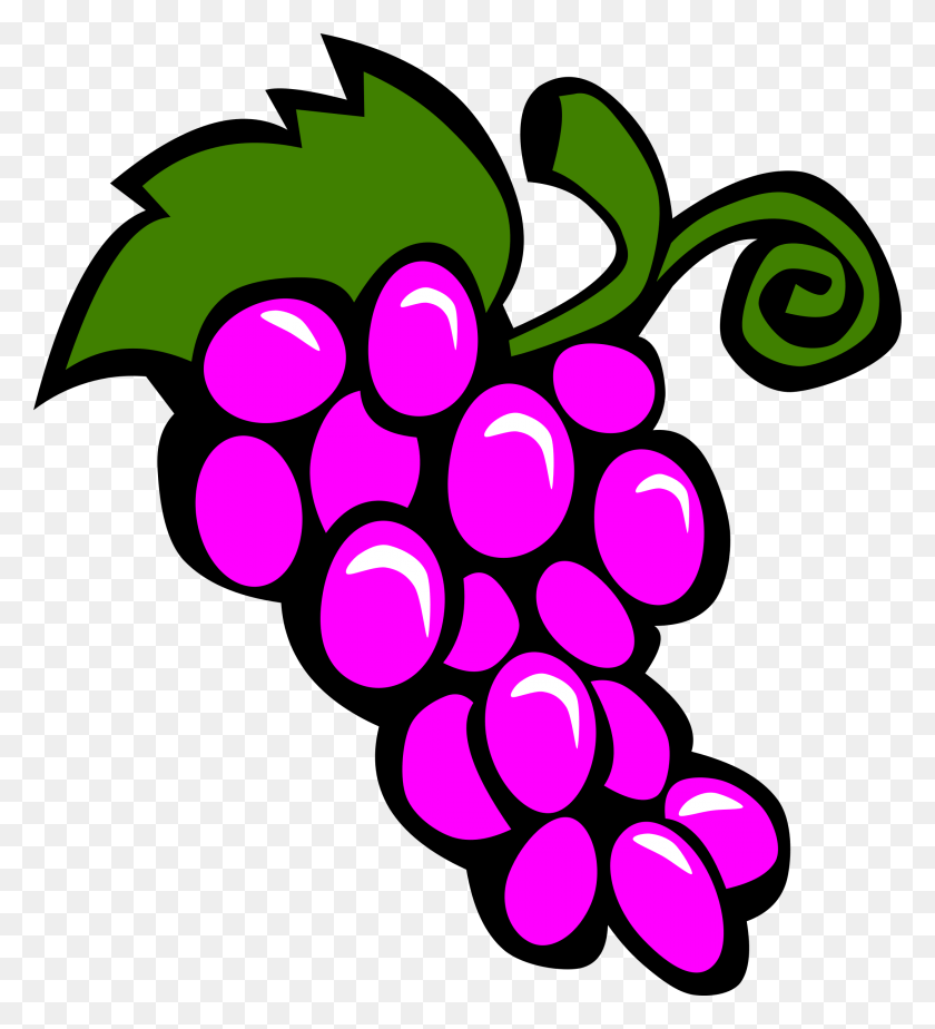 2166x2400 This Free Icons Design Of Simple Fruit Grapes, Plant, Graphics HD PNG Download
