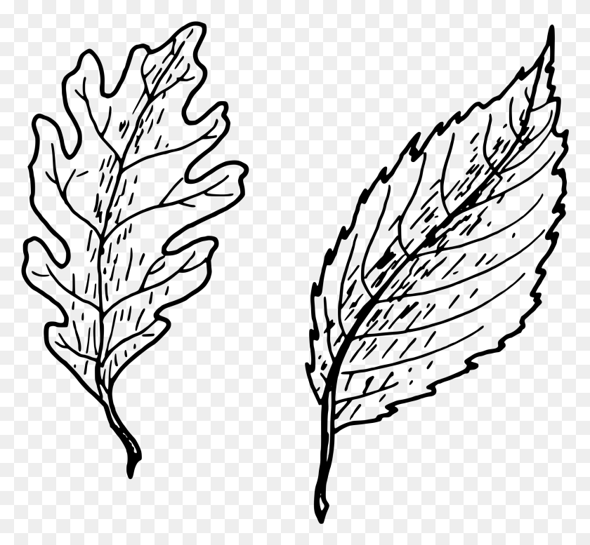 2283x2101 This Free Icons Design Of Simple Leaves Leaves Transparent Black And White, Gray, World Of Warcraft HD PNG Download