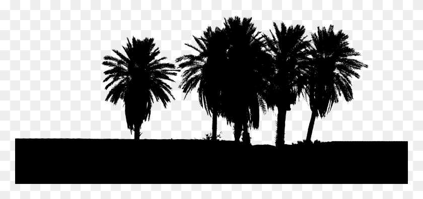 2400x1034 This Free Icons Design Of Six Trees Silhouette, Gray, World Of Warcraft HD PNG Download