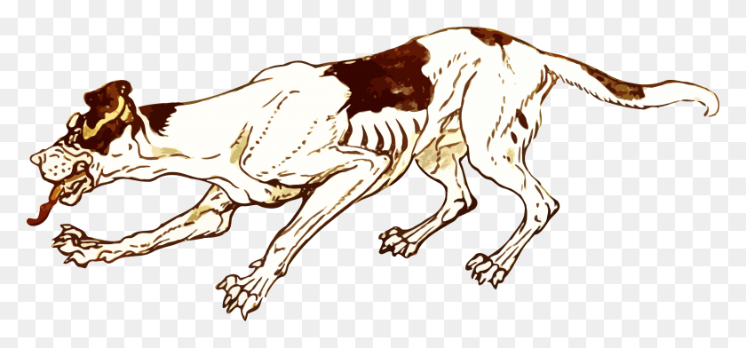 2400x1024 This Free Icons Design Of Skinny Hound Illustration, Mammal, Animal, Coyote HD PNG Download