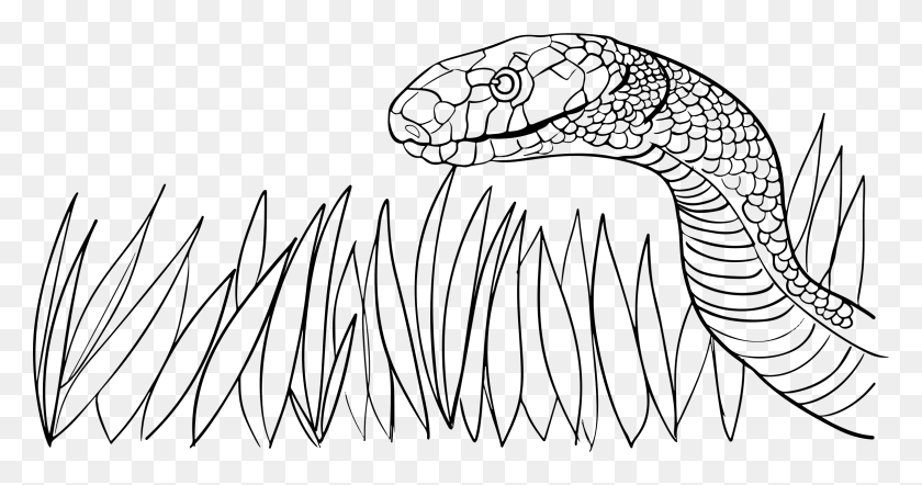 2331x1142 Этот Бесплатный Дизайн Иконок Змея В Траве, Серый, Мир Варкрафта Png Скачать