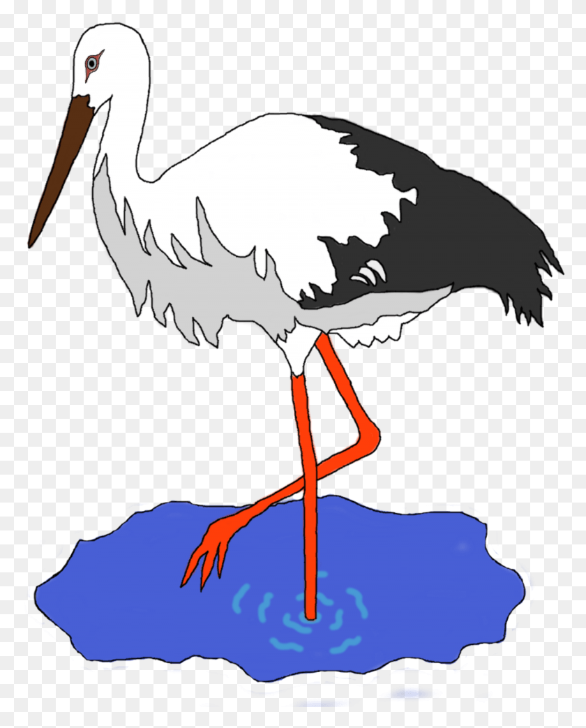 1820x2295 This Free Icons Design Of Stork In A Pond Stork Clipart, Bird, Animal, Pelican HD PNG Download