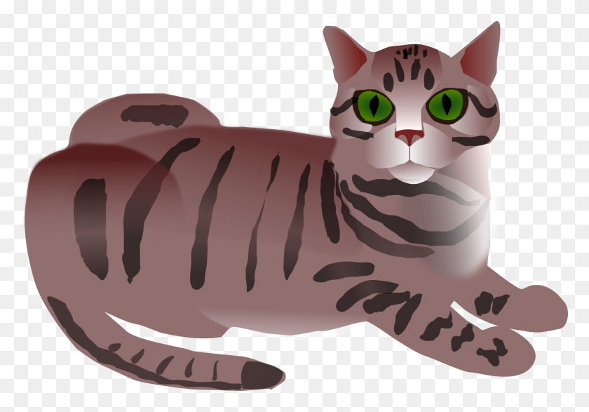 2400x1624 This Free Icons Design Of Tabby Cat Tabby Cat Clip Art, Mamífero, Animal, Pastel De Cumpleaños Hd Png Descargar