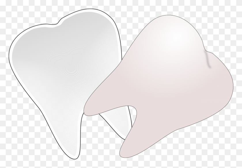 2400x1618 This Free Icons Design Of Tooth Cut In Half, Clothing, Apparel, Baseball Cap HD PNG Download