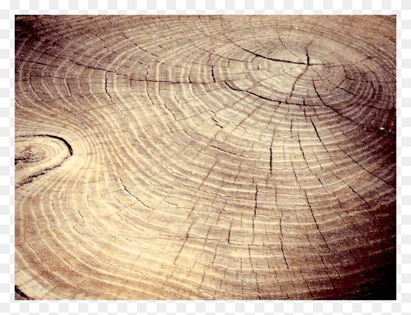 2400x1802 This Free Icons Design Of Tree Stump Cracks HD PNG Download