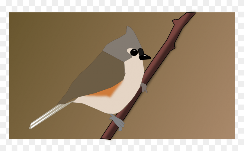 960x567 This Free Icons Design Of Turfted Titmouse, Jay, Bird, Animal Hd Png