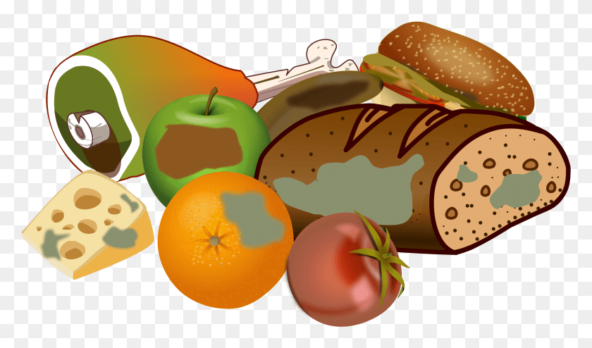 2301x1282 This Free Icons Design Of Wasting Food, Plant, Burger, Fruit HD PNG Download