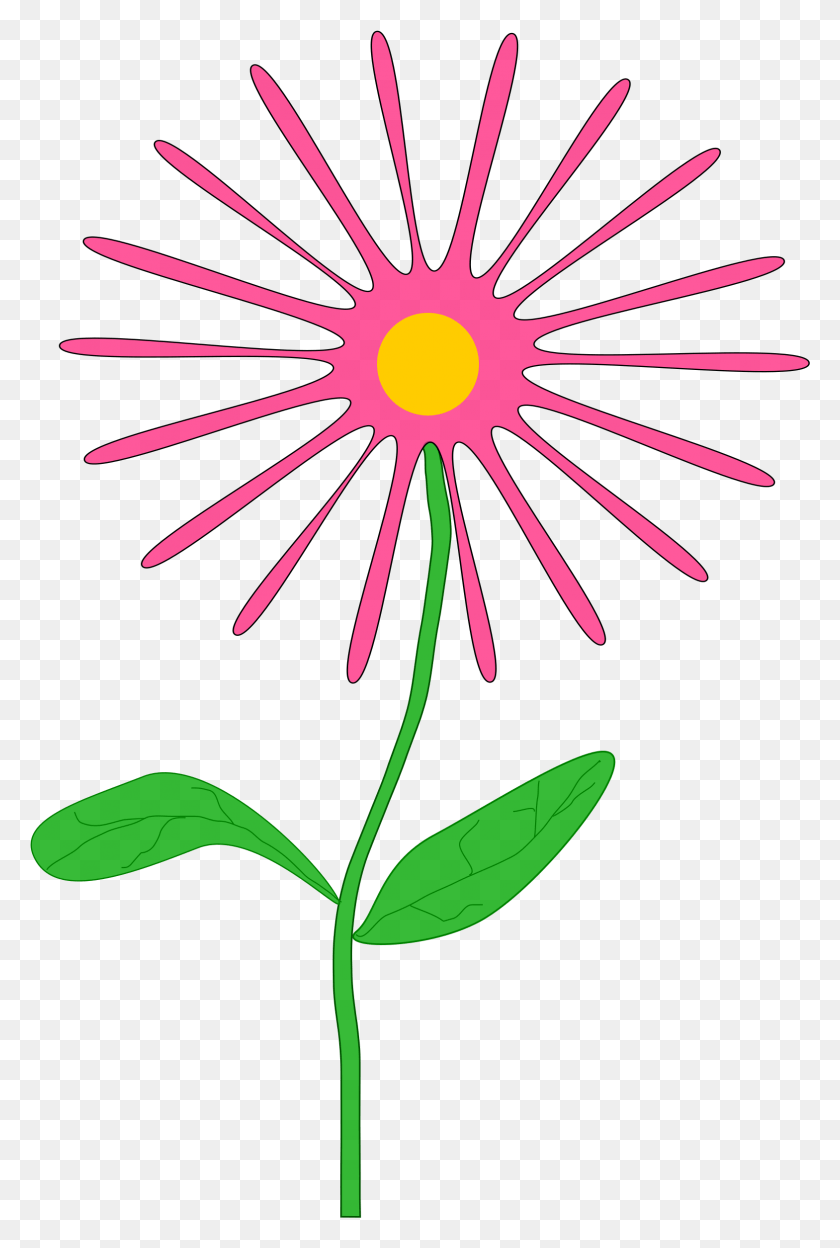 1569x2390 Этот Бесплатный Дизайн Иконок Причудливого Розового Цветка Апрельские Цветы Картинки, Растение, Цветок, Цветение Png Скачать