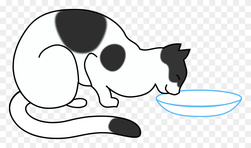 2400x1346 This Free Icons Design Of White Cat Drinking, Cow, Cattle, Mammal HD PNG Download