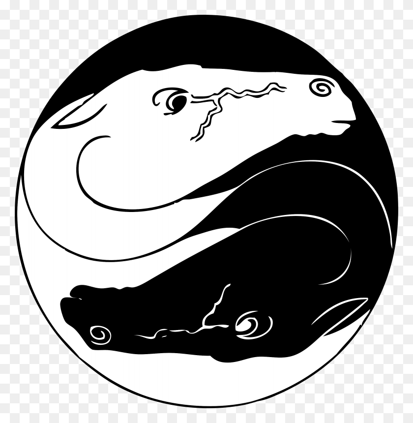 2338x2400 This Free Icons Design Of Yin Yang Horses, Animal, Wildlife, Amphibian HD PNG Download