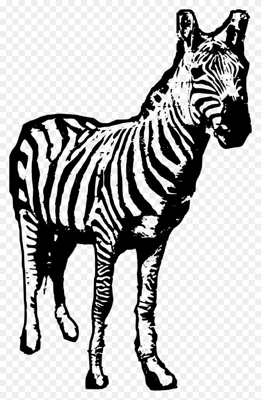 1526x2400 This Free Icons Design Of Zebra Facing Us, Gray, World Of Warcraft HD PNG Download