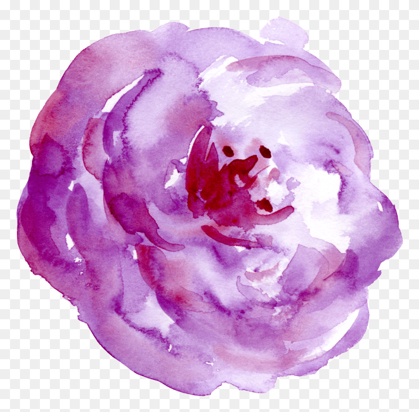 1004x986 This Graphics Is Cloud Purple Flower Cartoon Transparent Watercolor Paint, Rose, Flower, Plant HD PNG Download