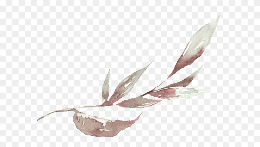 605x416 This Graphics Is Creative Ink Painting Transparent Red Pine, Leaf, Plant, Petal HD PNG Download