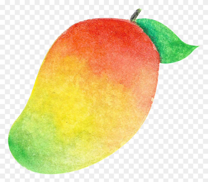 920x796 This Graphics Is Watercolor Hand Painted Color Gradient Mango, Plant, Fruit, Food HD PNG Download