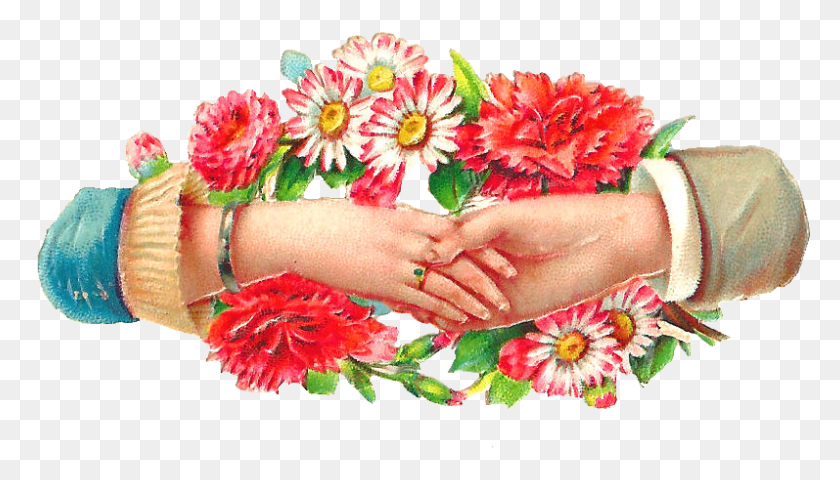 797x430 Это Красивый Викторианский Лом Или Высечка Известного Пальца Ноги, Растение, Цветочный Дизайн, Узор Hd Png Скачать