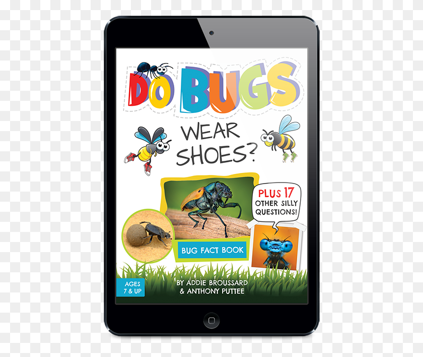 430x648 This Is A Fun Read To Learn All About Bugs Do Bugs Wear Shoes And Other Silly Questions Bug, Insect, Invertebrate, Animal HD PNG Download