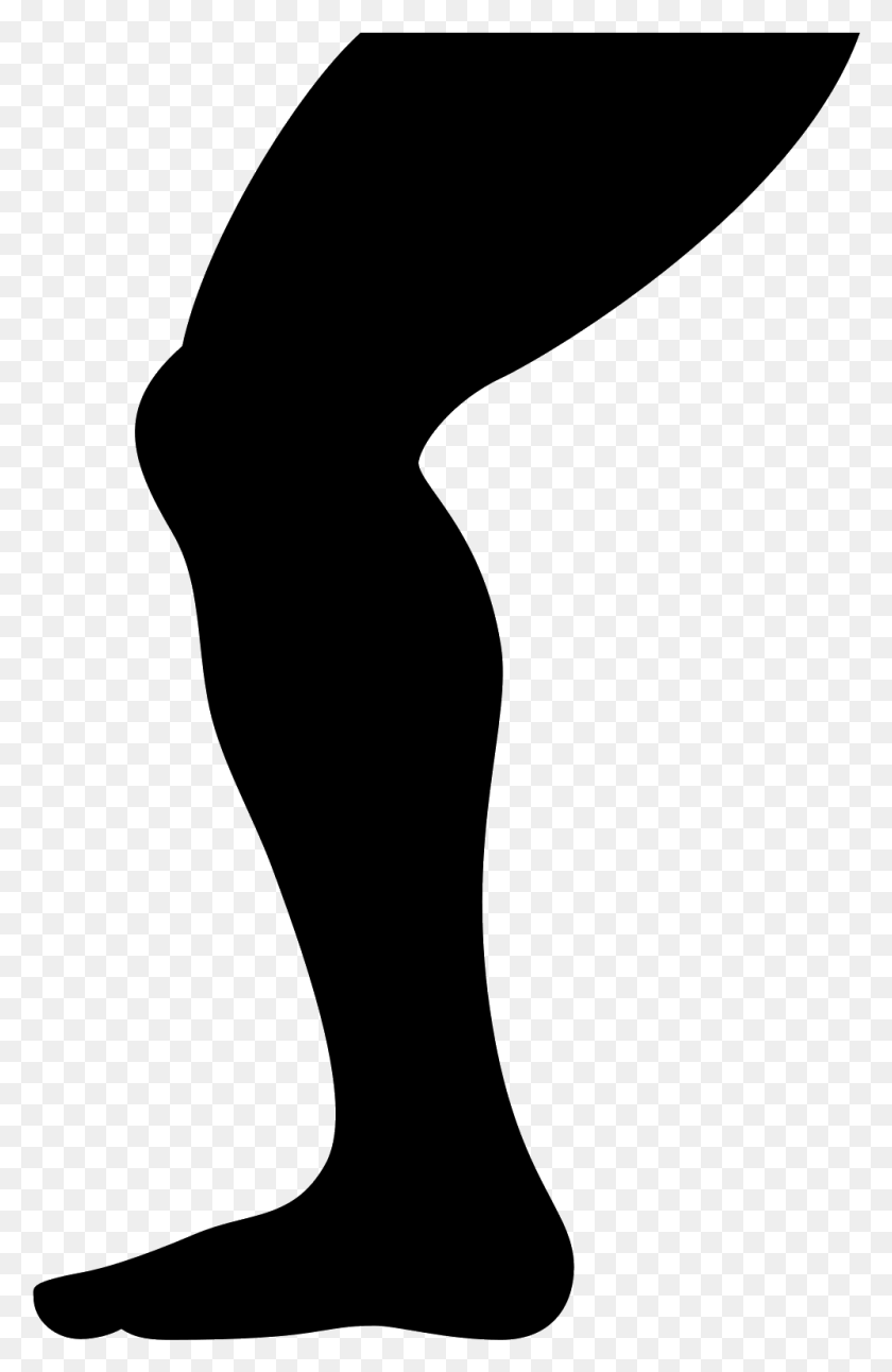 998x1577 This Is A Leg From The Top Of The Thigh Down To The Leg Icon, Gray, World Of Warcraft HD PNG Download