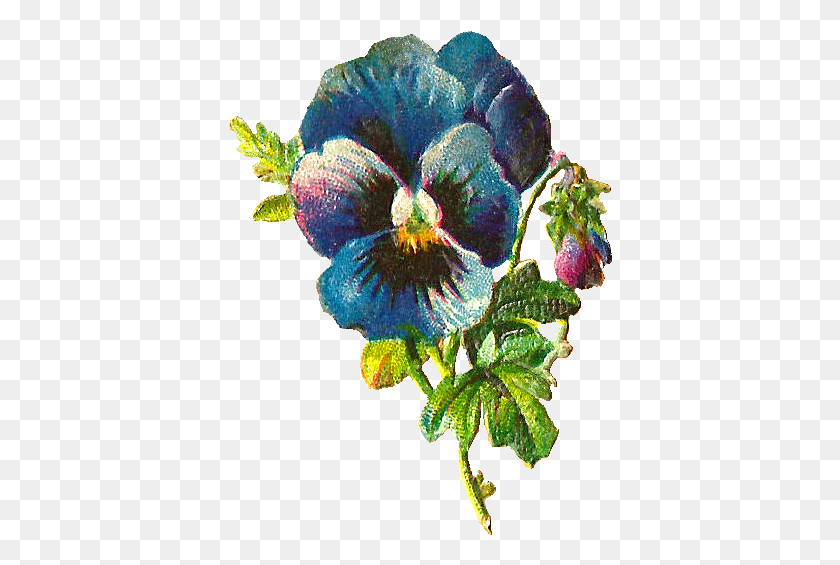 384x505 Это Довольно Потертый Маленький Викторианский Обрывок Обрывков Синих Цветов, Растение, Цветок, Цветение Png Скачать