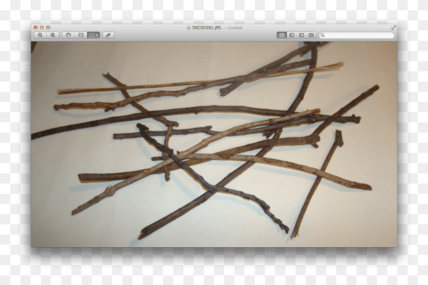 1257x805 This Is My Drawing Of My Twigs, Wood, Wire, Spider HD PNG Download