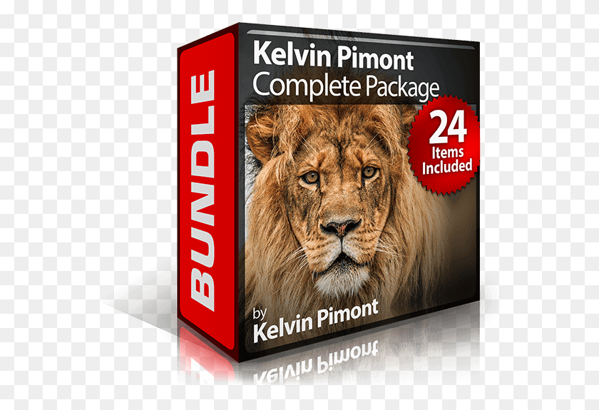568x515 Это Полный Пакет Kelvin Pimont Коллекция Фирменных Пресетов Сержа Рамелли, Лев, Дикая Природа, Млекопитающие Png Скачать