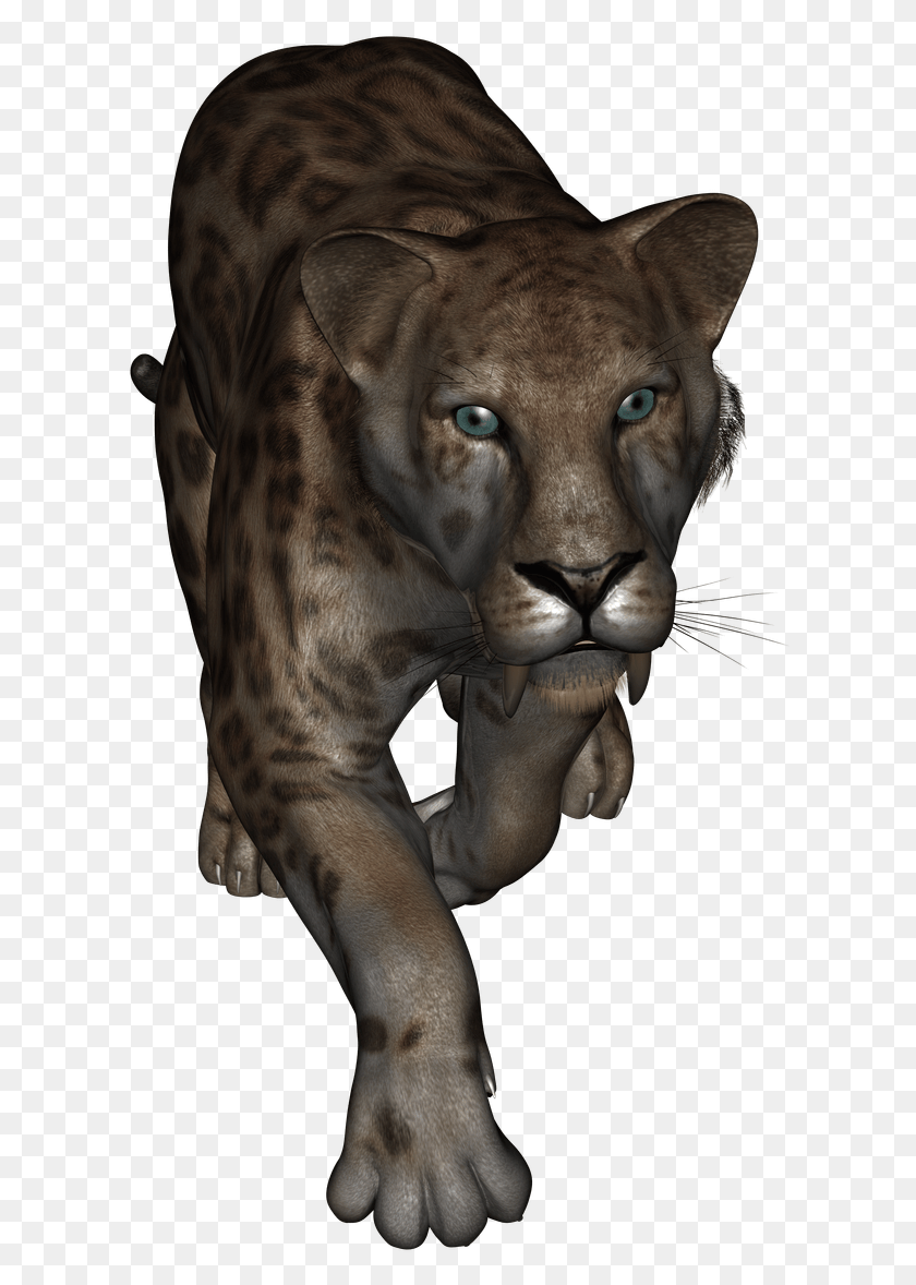 608x1118 Это Саблезубый Тигр Из Daz Studio Lion, Дикая Природа, Животное, Млекопитающее Hd Png Скачать