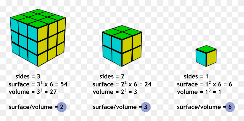 3364x1542 This Is Why Granulated Sugar Dissolves Much Faster Surface Area To Volume Ratio, Rubix Cube HD PNG Download
