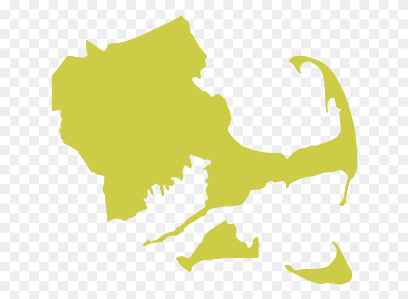 632x557 This Mass Moment Occurred In The Southeast Region Of Massachusetts Presidential Election Results By Town, Leaf, Plant, Tree HD PNG Download