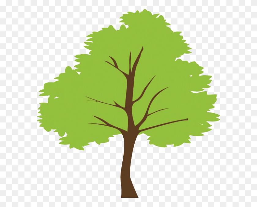 600x616 This Product Is Handmade And Uses Renewable Materials Tree Vector, Tree, Plant, Leaf HD PNG Download