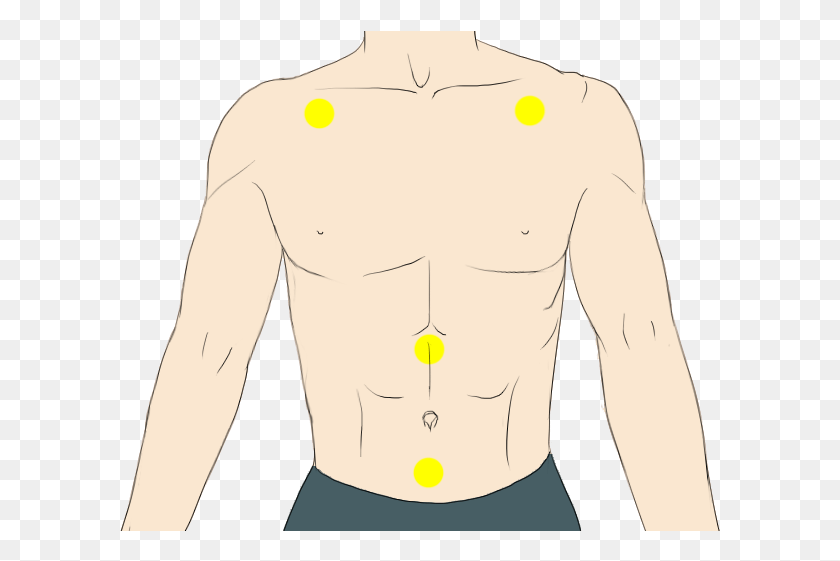 601x501 This Reduces Abdominal Contraction Constipation Stomach Illustration, Piercing, Torso, Back HD PNG Download