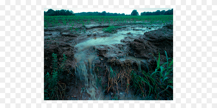 501x358 Though Sewage And Wastewater Play A Role Chemical Nonpoint Source Pollution, Nature, Water, Outdoors HD PNG Download