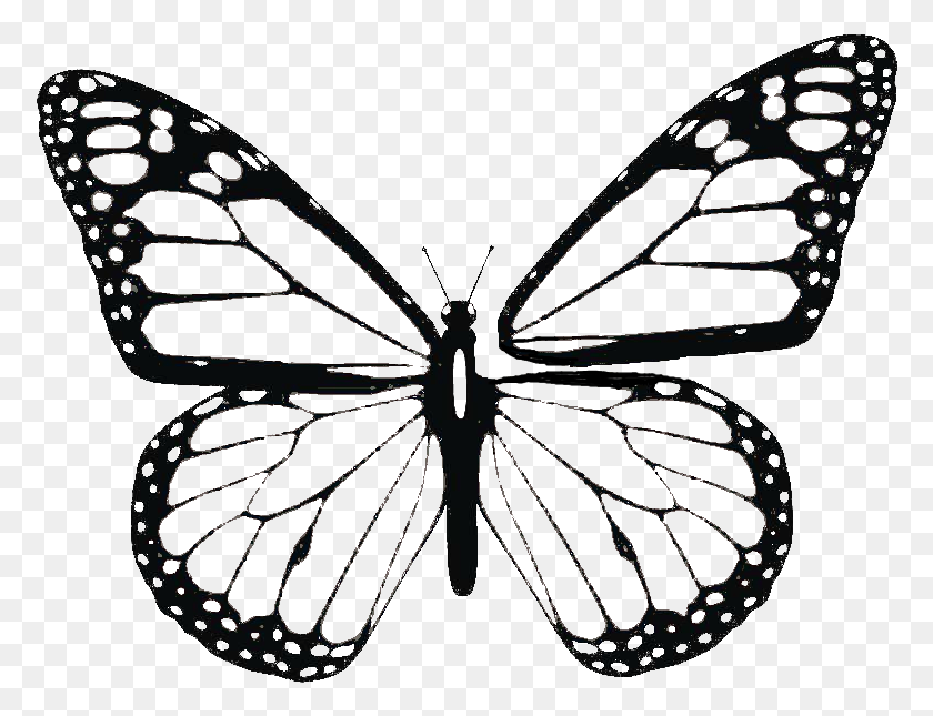 776x585 Нить Бабочка Mariposa Monarca Para Colorear, Насекомое, Беспозвоночное, Животное Png Скачать