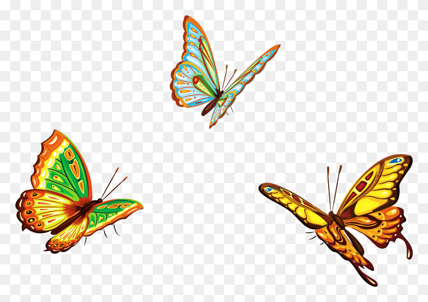 7952x5449 Png Три Бабочки, Животные, Беспозвоночные, Насекомые Hd Png Скачать