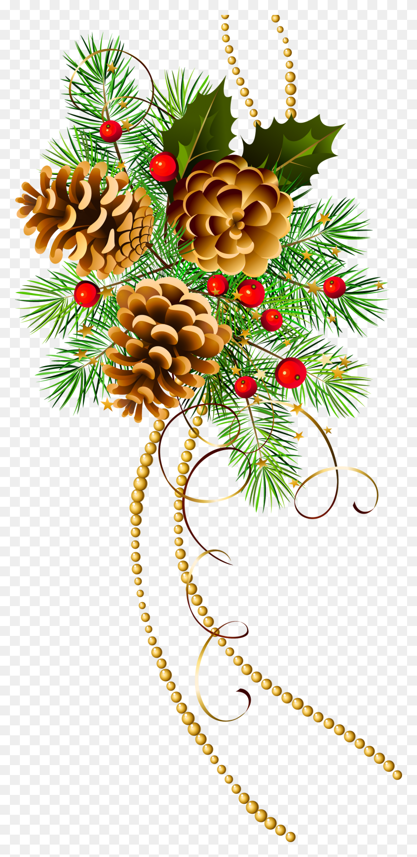 1550x3309 Three Christmas Cones With Pine Branch Clipart Christmas Pine Cone Clipart, Graphics, Bush HD PNG Download