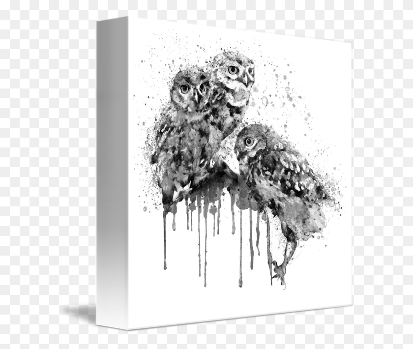 606x650 Three Cute Owls Black And White By Marian Voicu Bucharest Art Black And White Owl, Bird, Animal HD PNG Download
